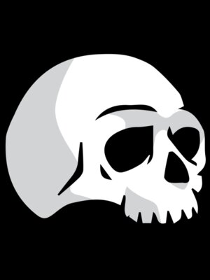 Elements Skull logo template 03